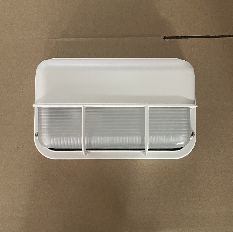 Praris Outdoor Wall Light