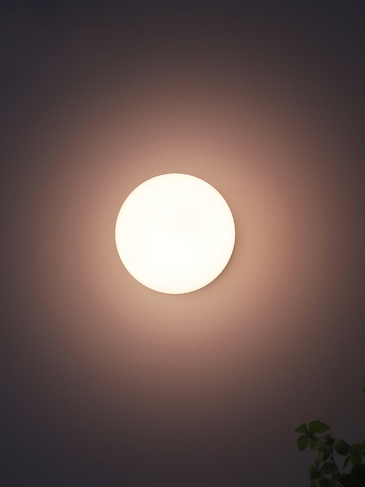 Niltalia Round Wall Light