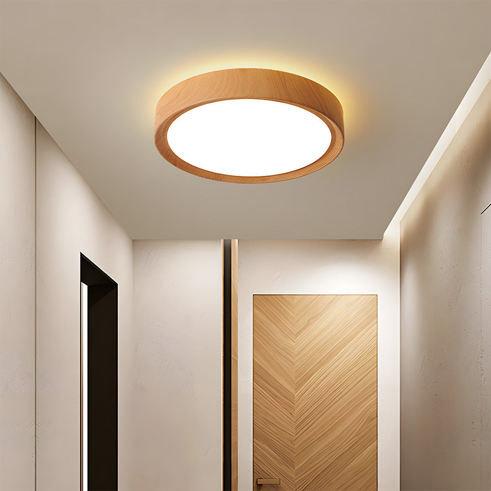 Tozon Round Ceiling Light