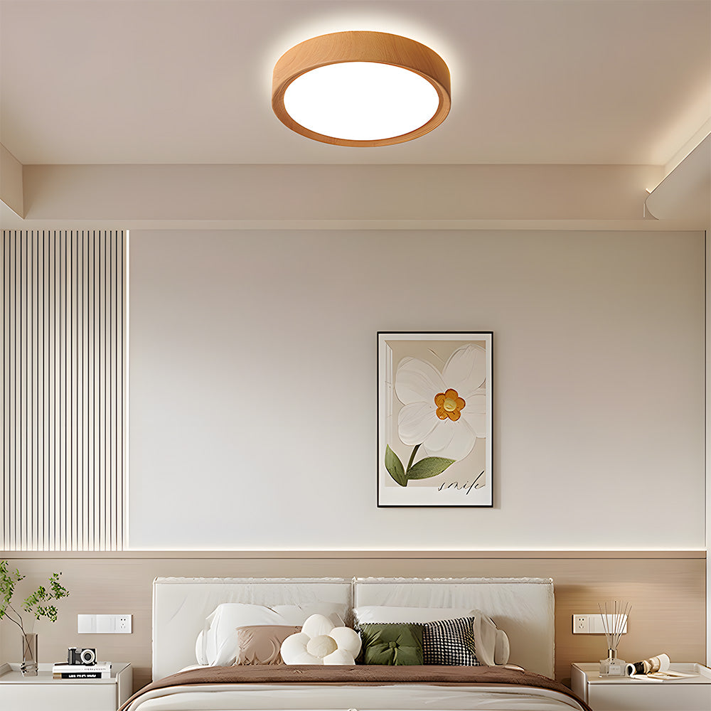 Tozon Round Ceiling Light