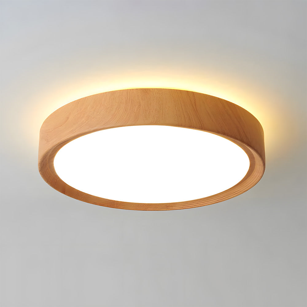 Tozon Round Ceiling Light