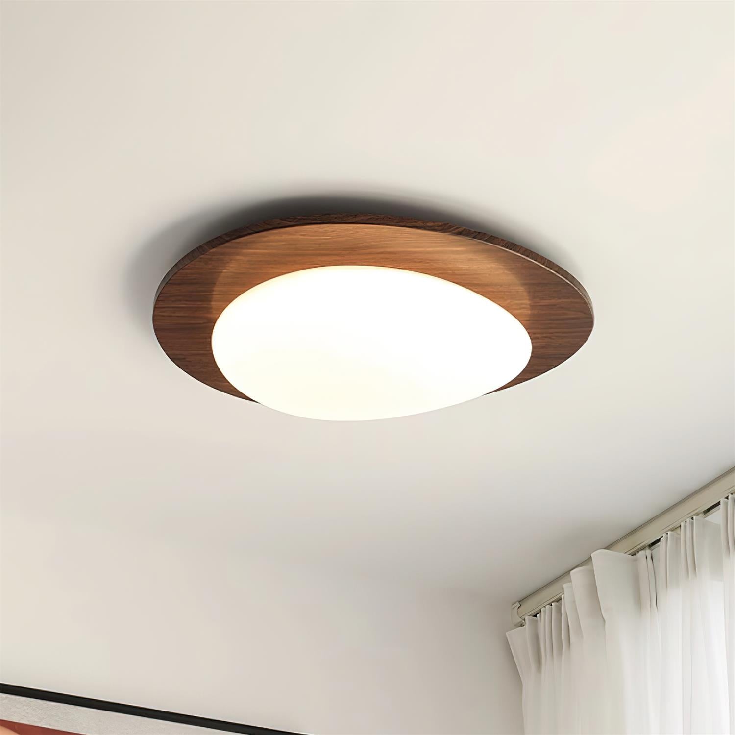 Olvessa Ceiling Light