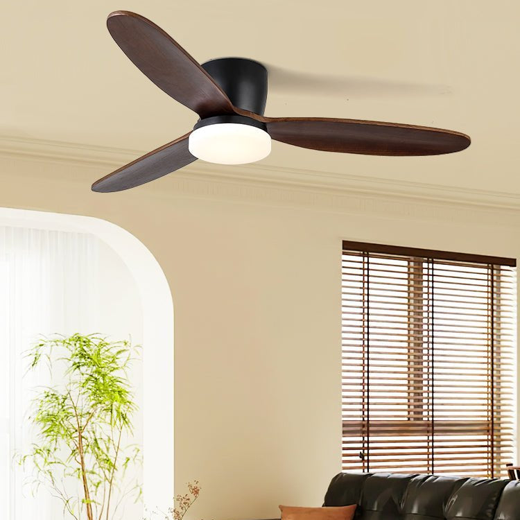 Nesorim Ceiling Fan