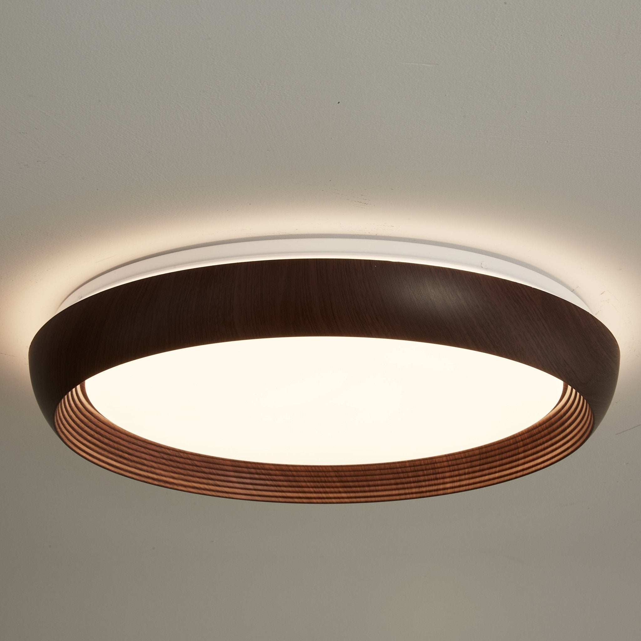 Gotin Ceiling Light