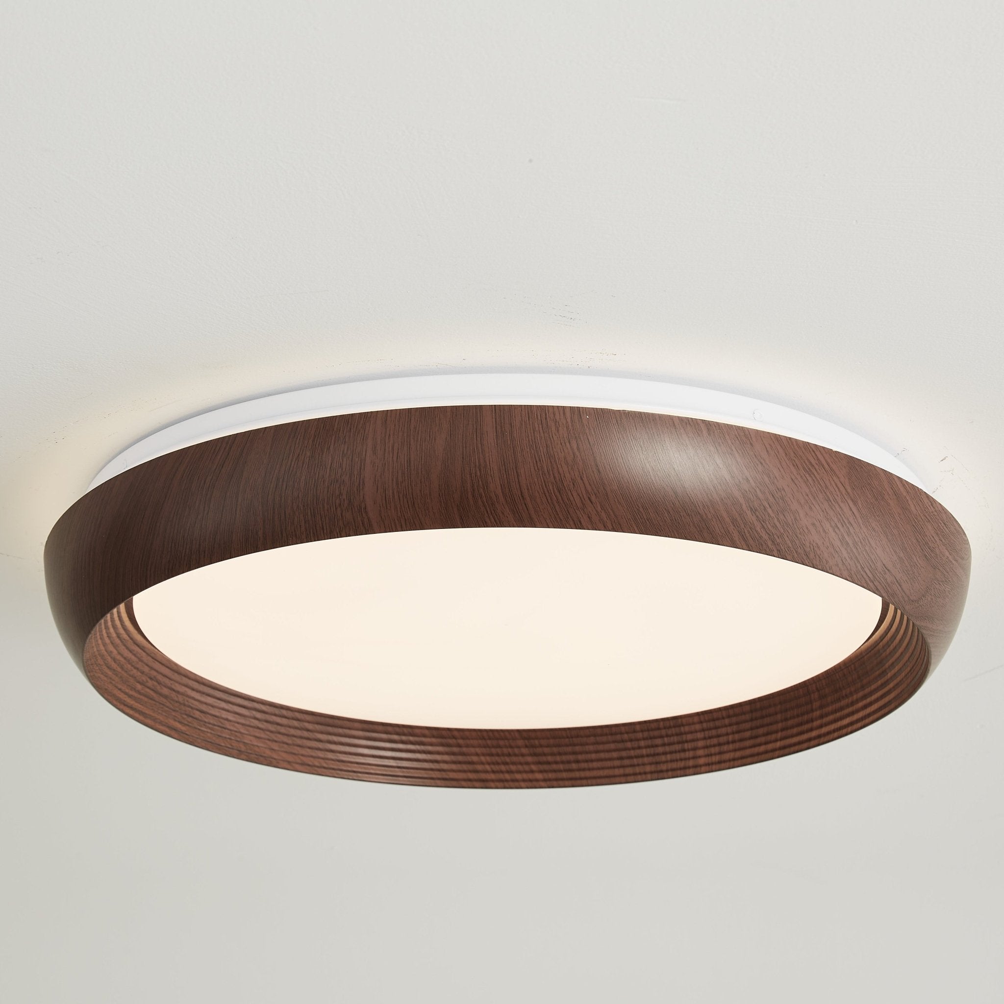 Gotin Ceiling Light