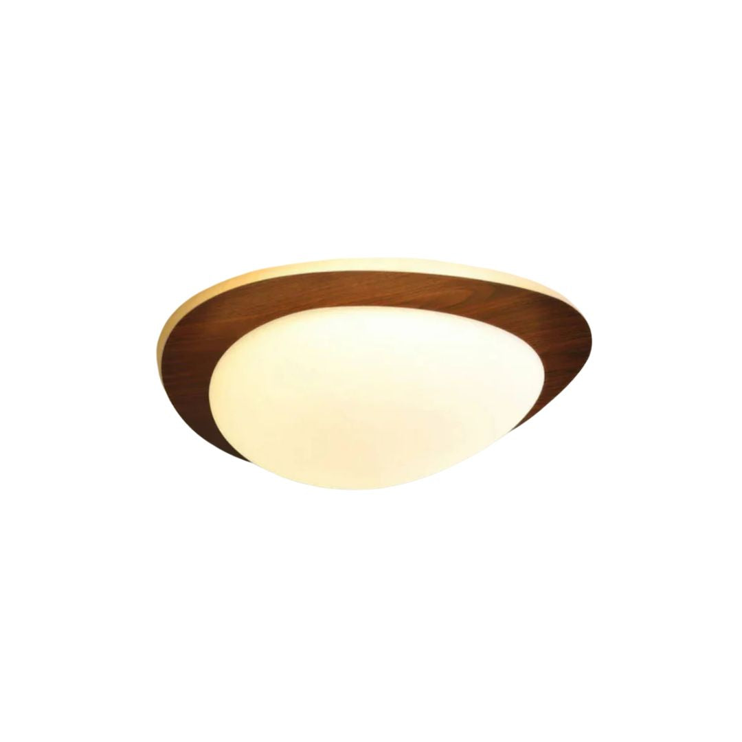 Avenlor Ceiling Light