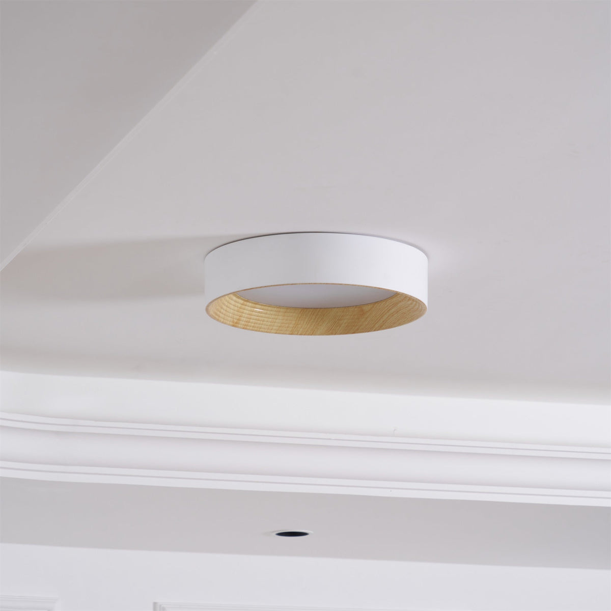 Pagino Round Ceiling Light