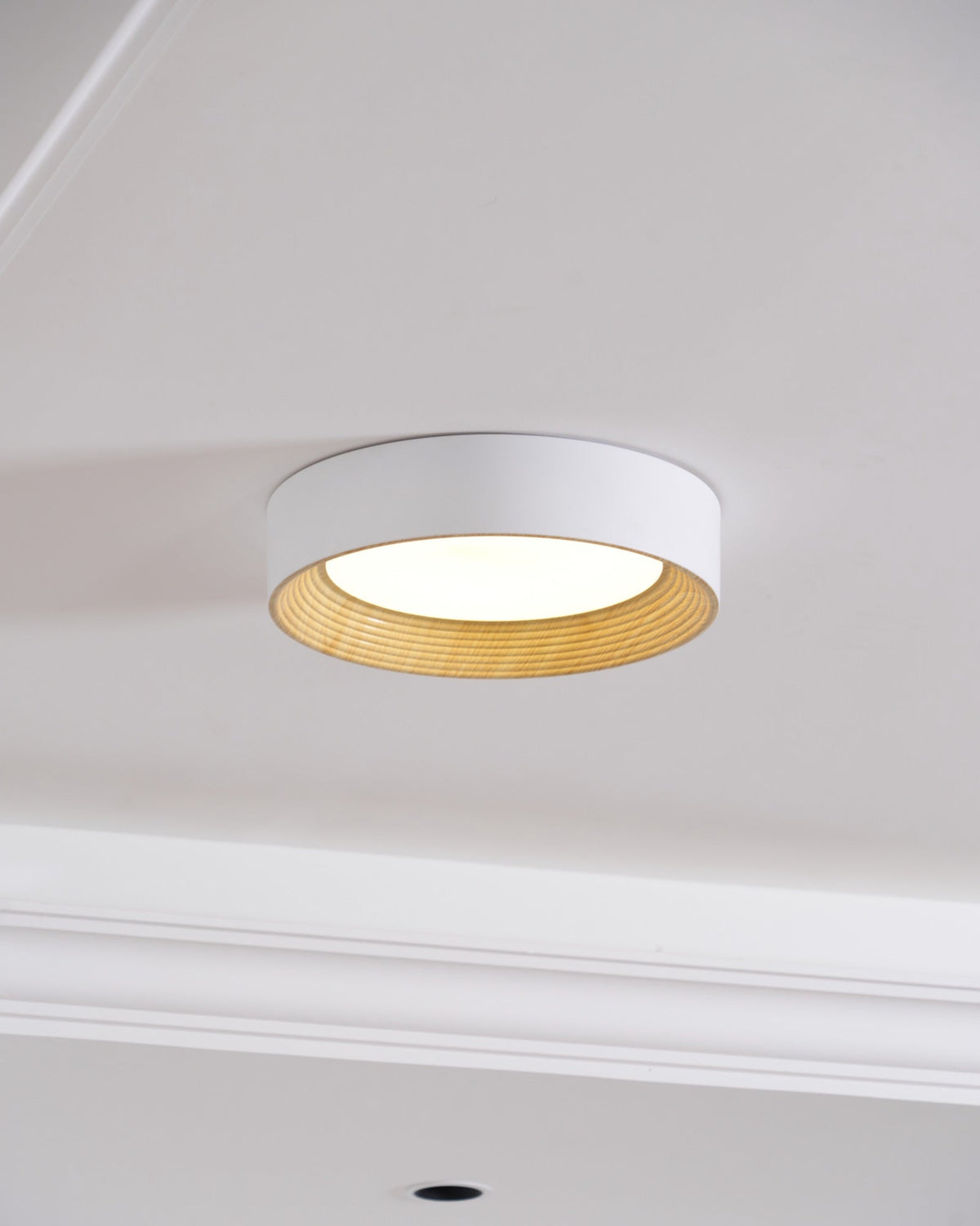 Pagino Round Ceiling Light