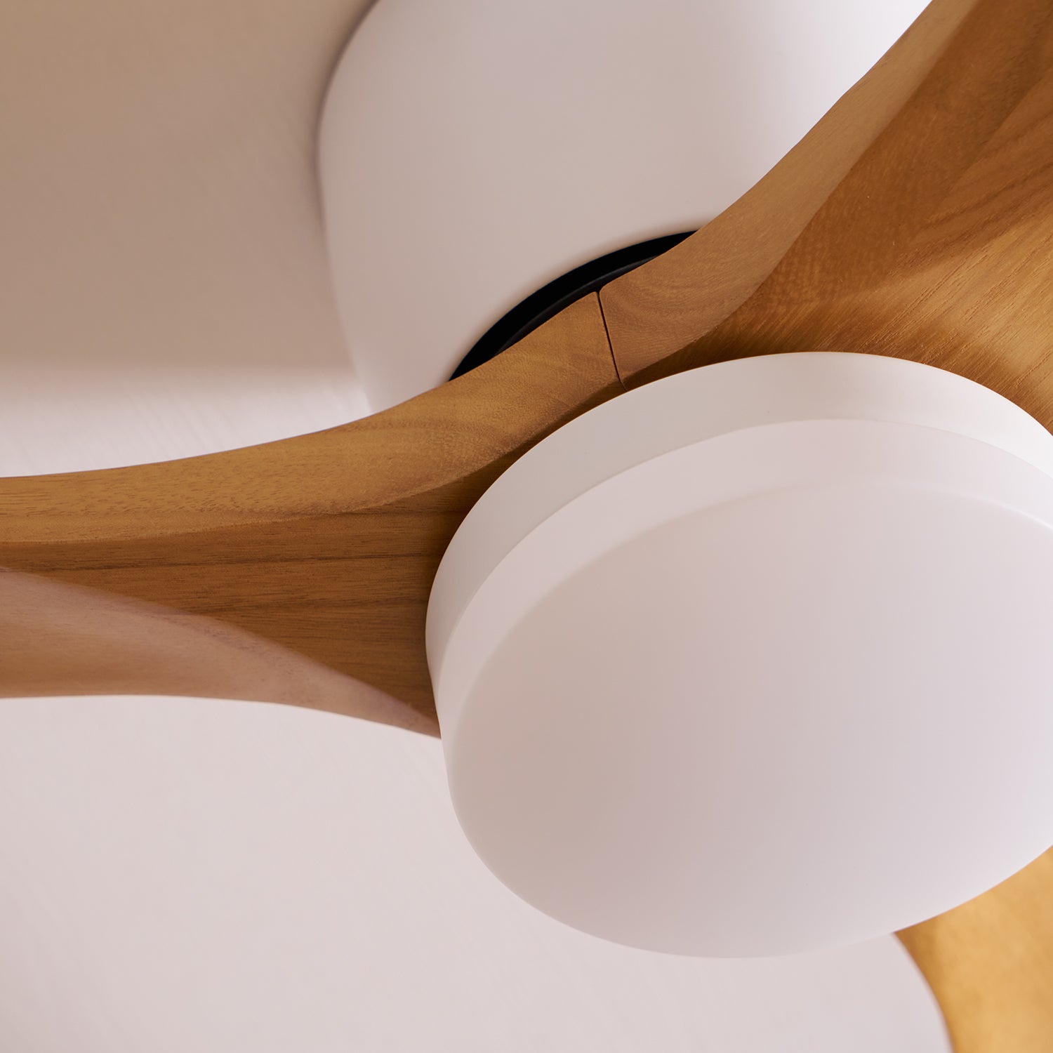 Lyio Wooden LED Ceiling Fan