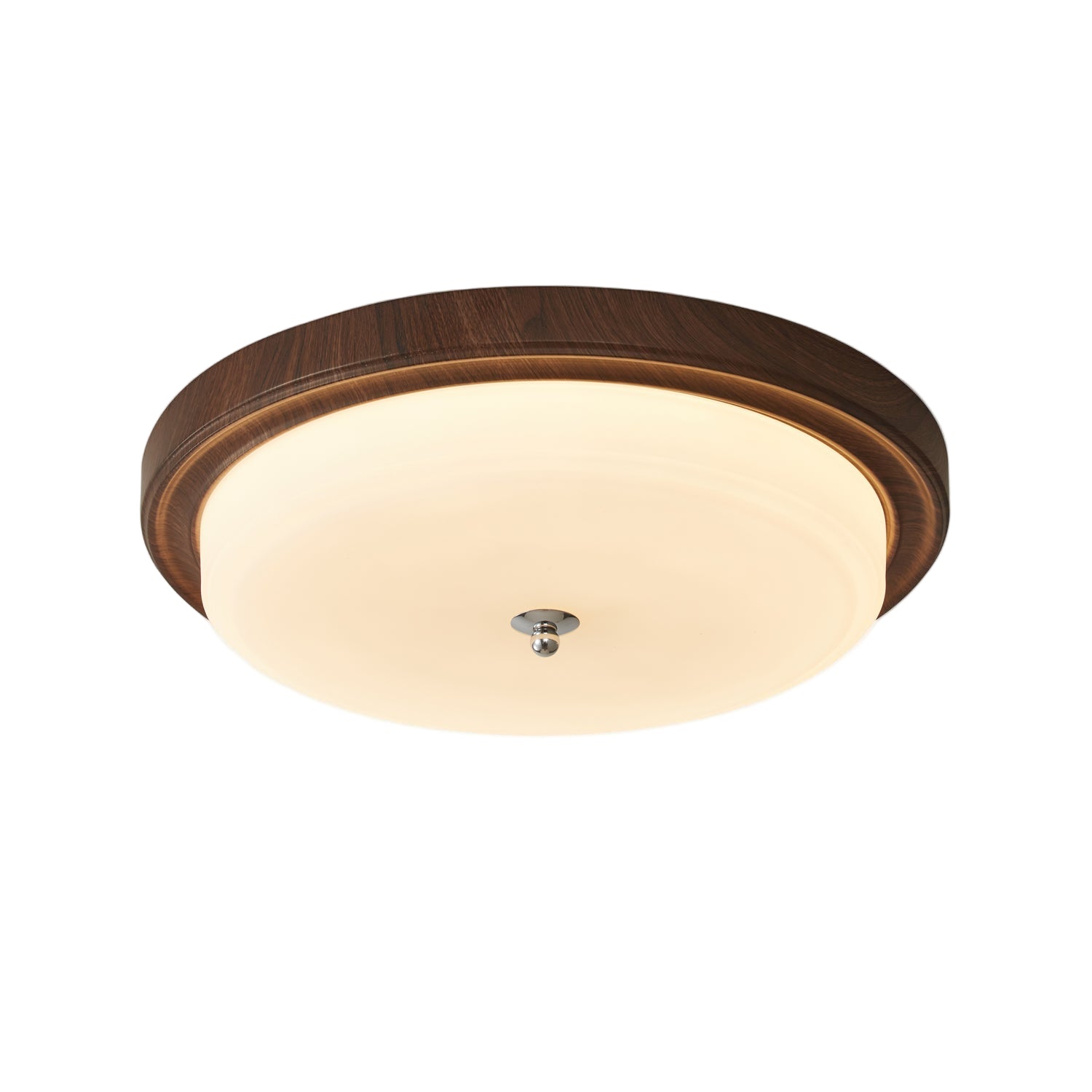 Omisvelle Ceiling Light