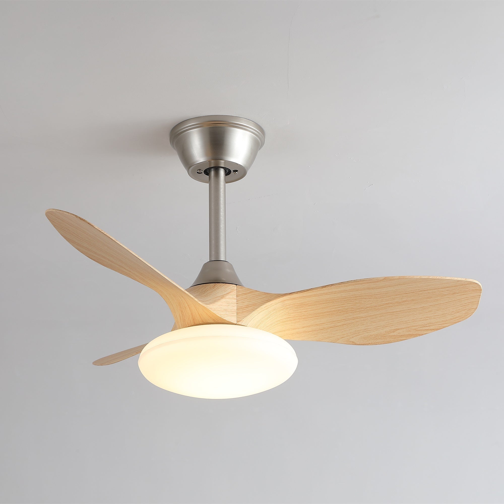 Zerinn Ceiling Fan