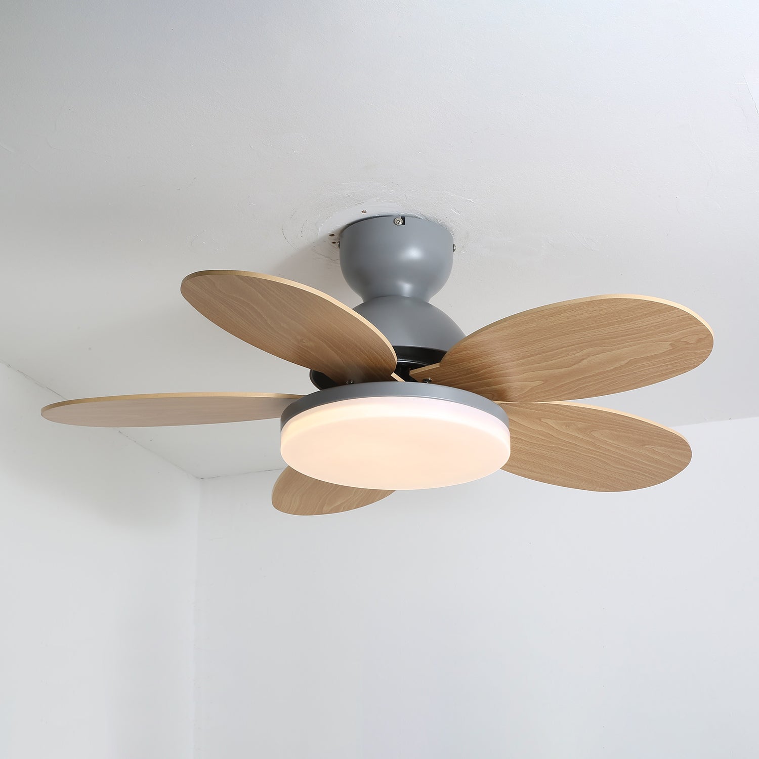Paleto LED Ceiling Fan