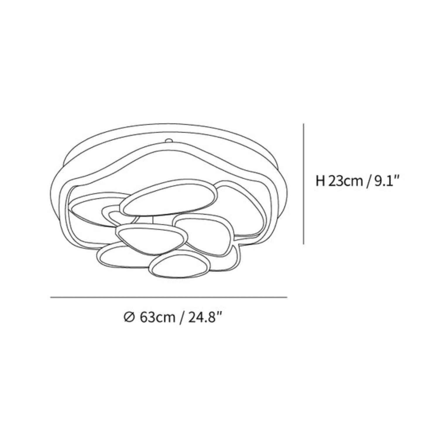 Colean Ceiling Light