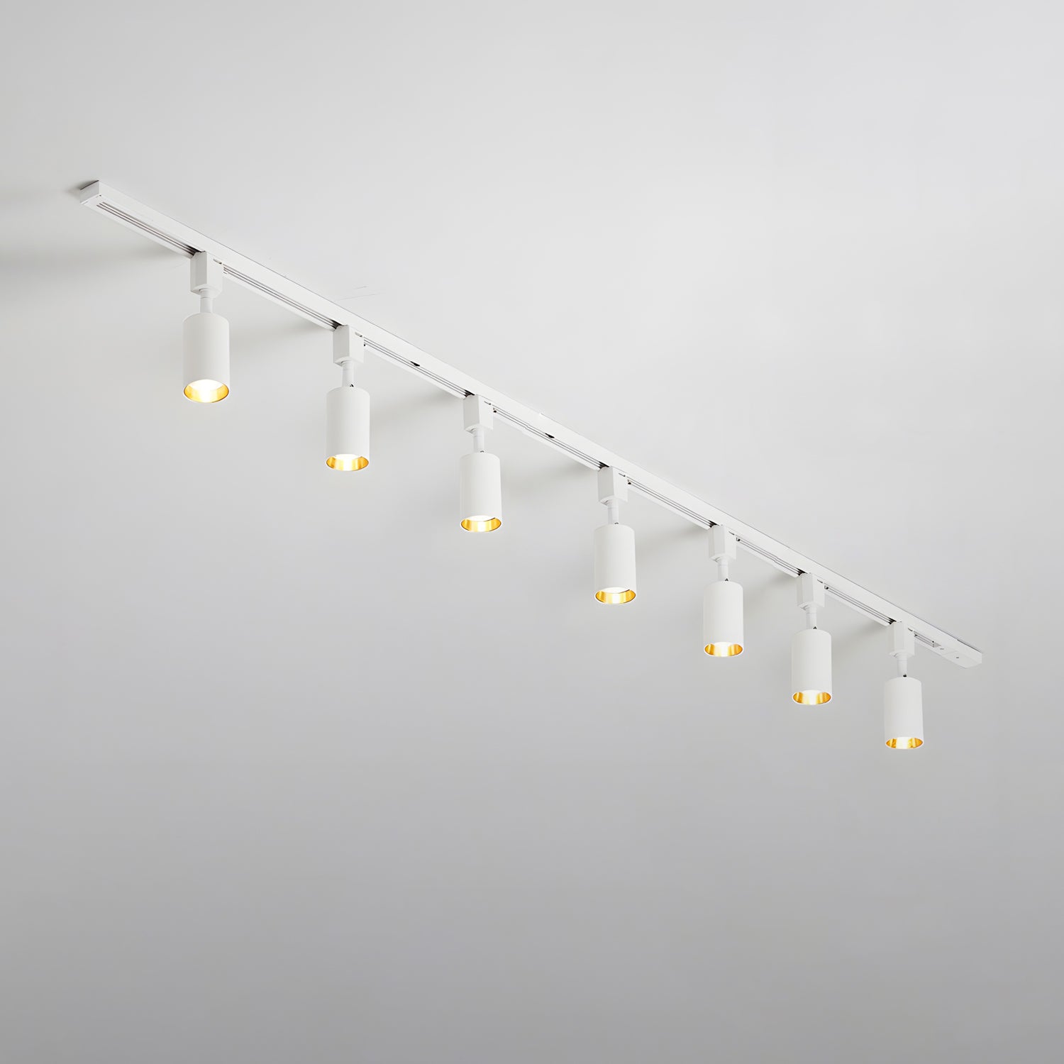 Sylonexis Ceiling Light