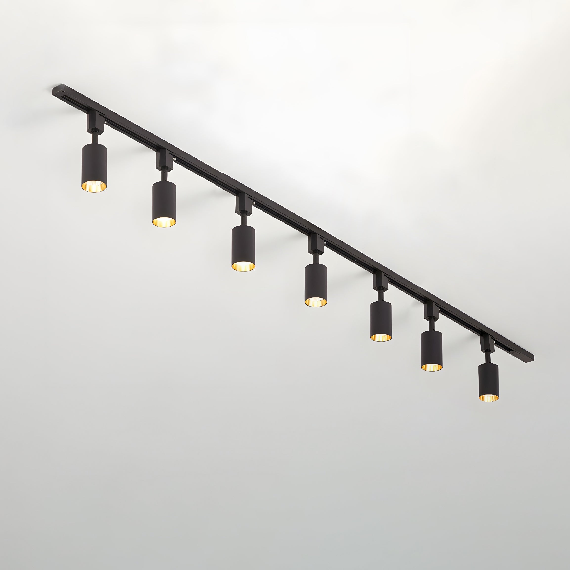 Sylonexis Ceiling Light