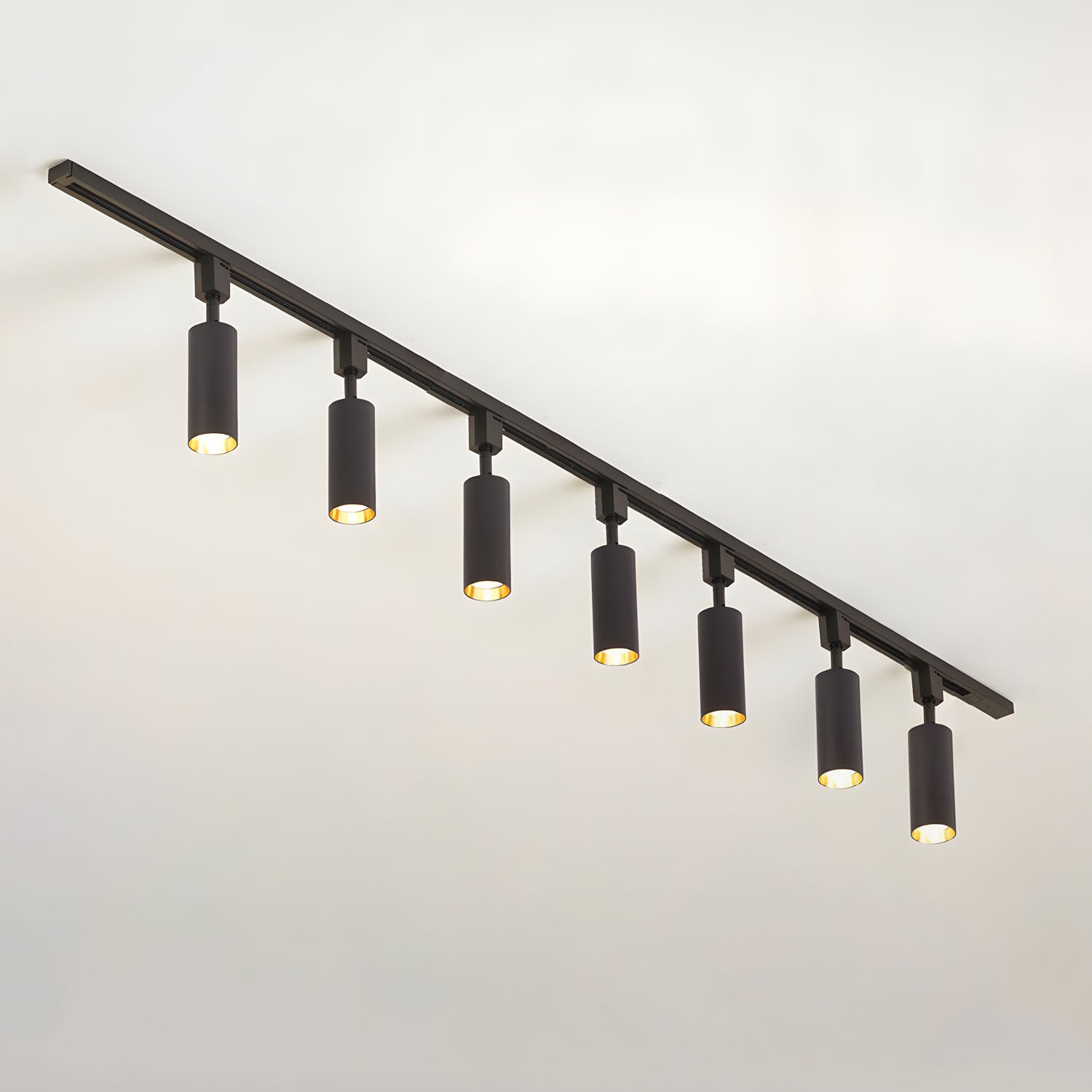Sylonexis Ceiling Light