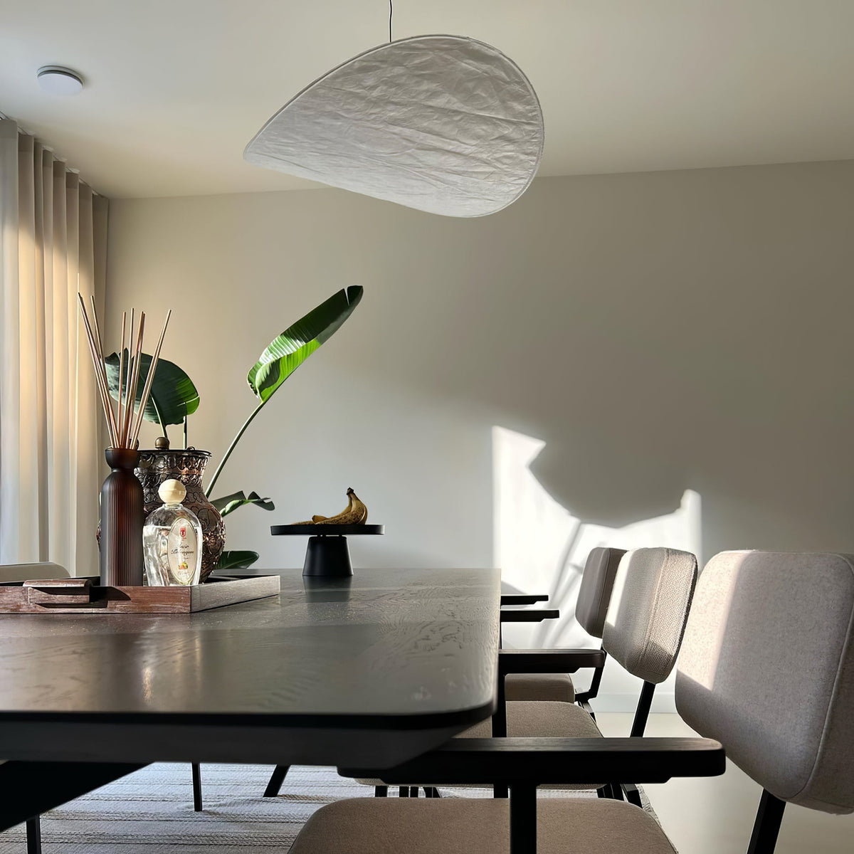 Traroria Modern Pendant Light
