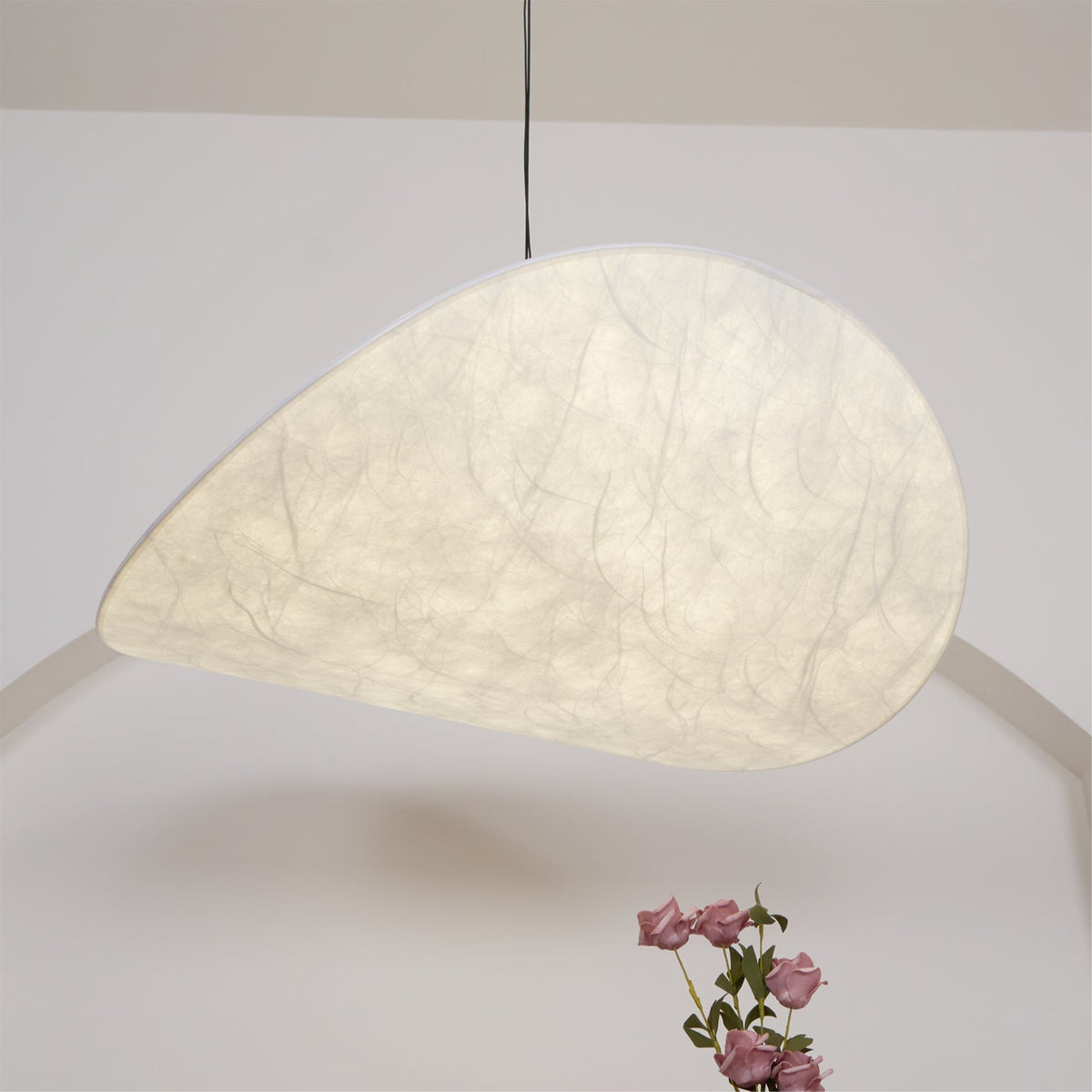Traroria Modern Pendant Light