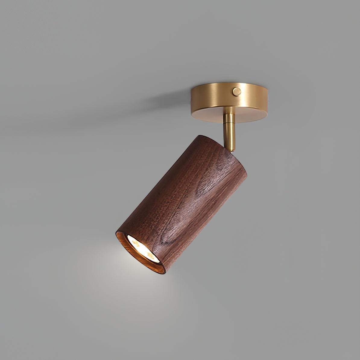 Volani Cylinder Ceiling Light