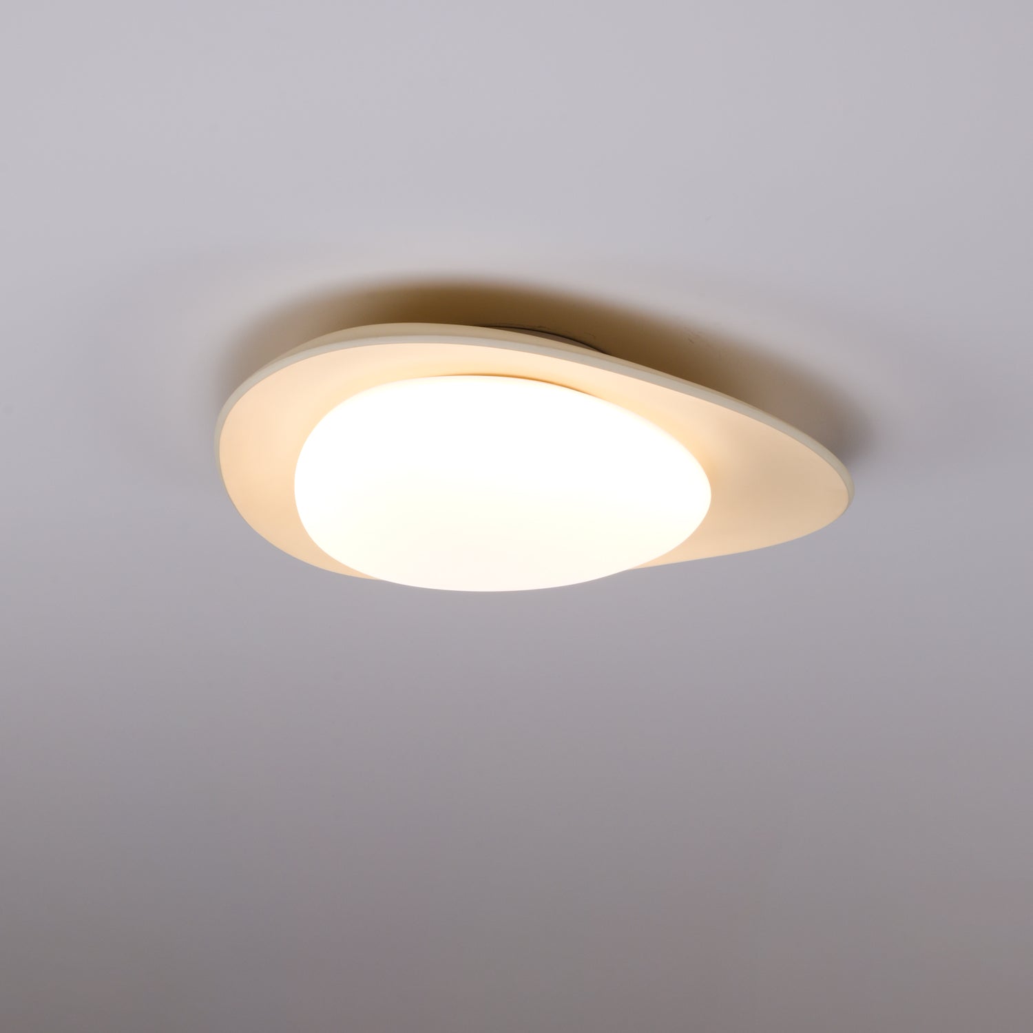 Fiolyn Leaf Ceiling Light
