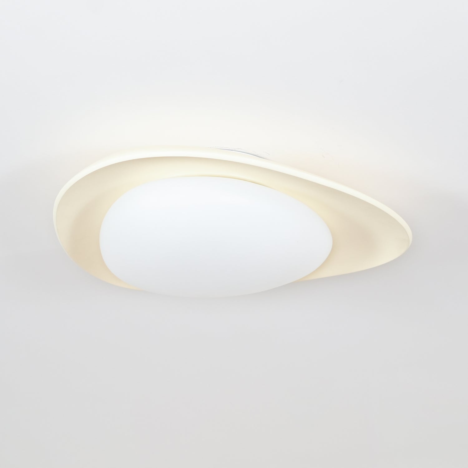 Fiolyn Leaf Ceiling Light