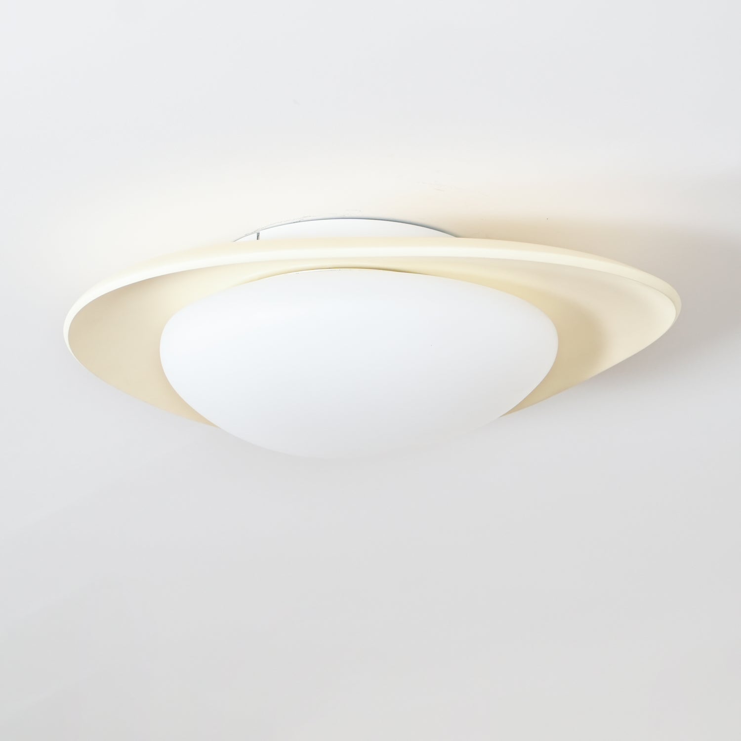 Fiolyn Leaf Ceiling Light