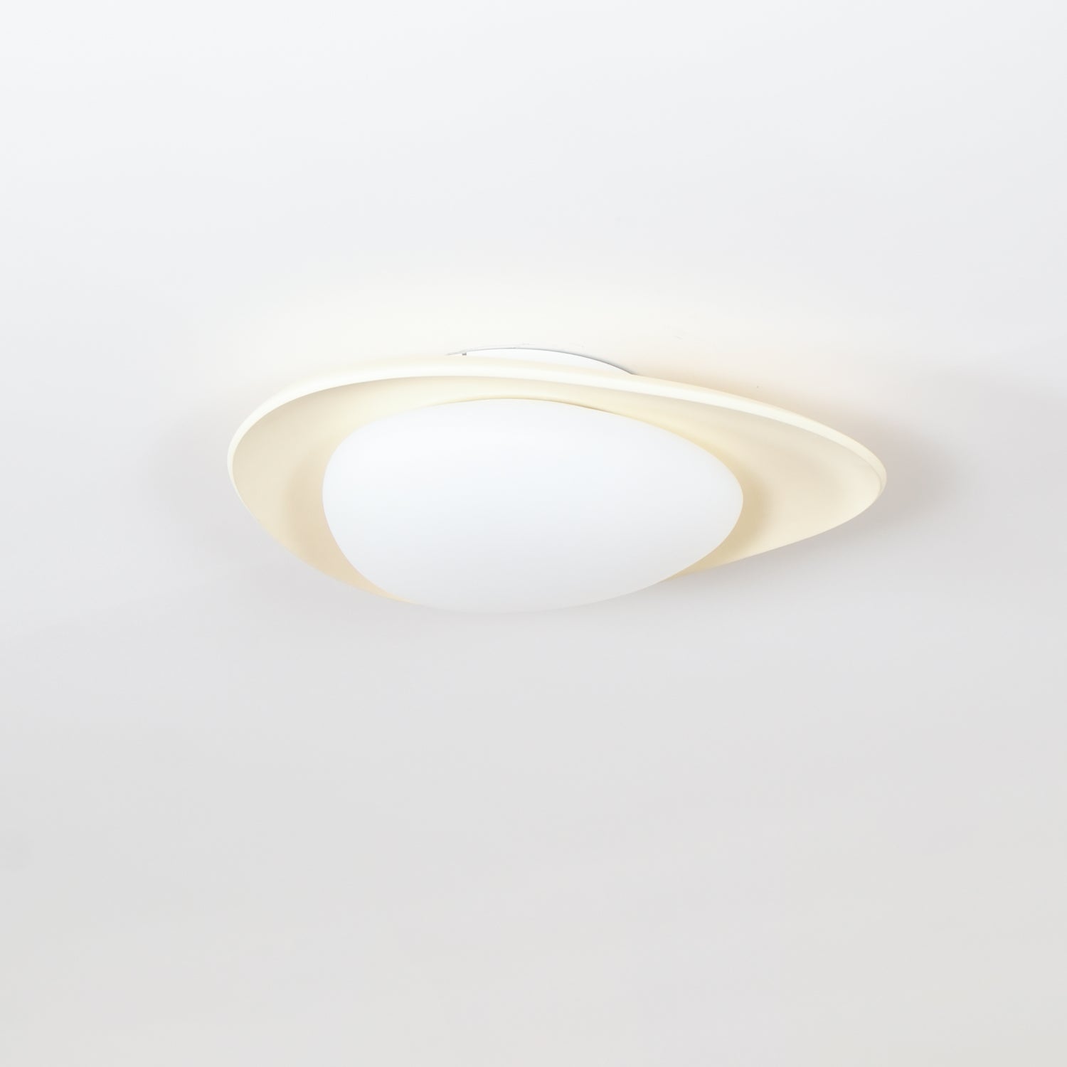 Fiolyn Leaf Ceiling Light