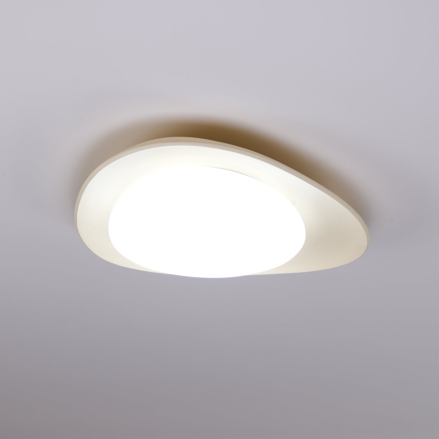 Fiolyn Leaf Ceiling Light