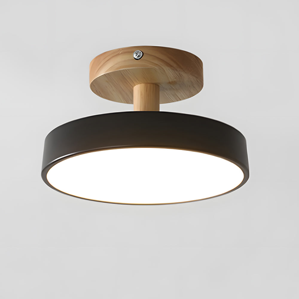 Pedol Ceiling Light