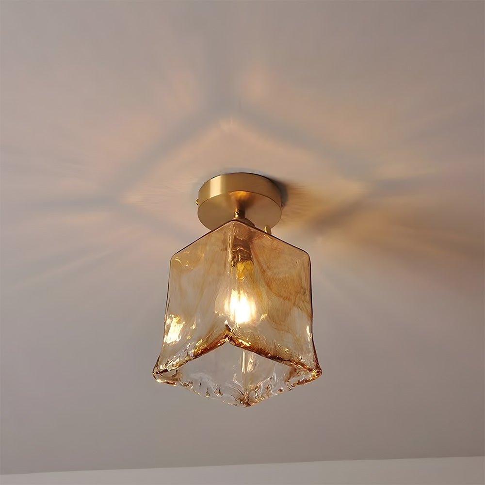 Vluro Ceiling Light