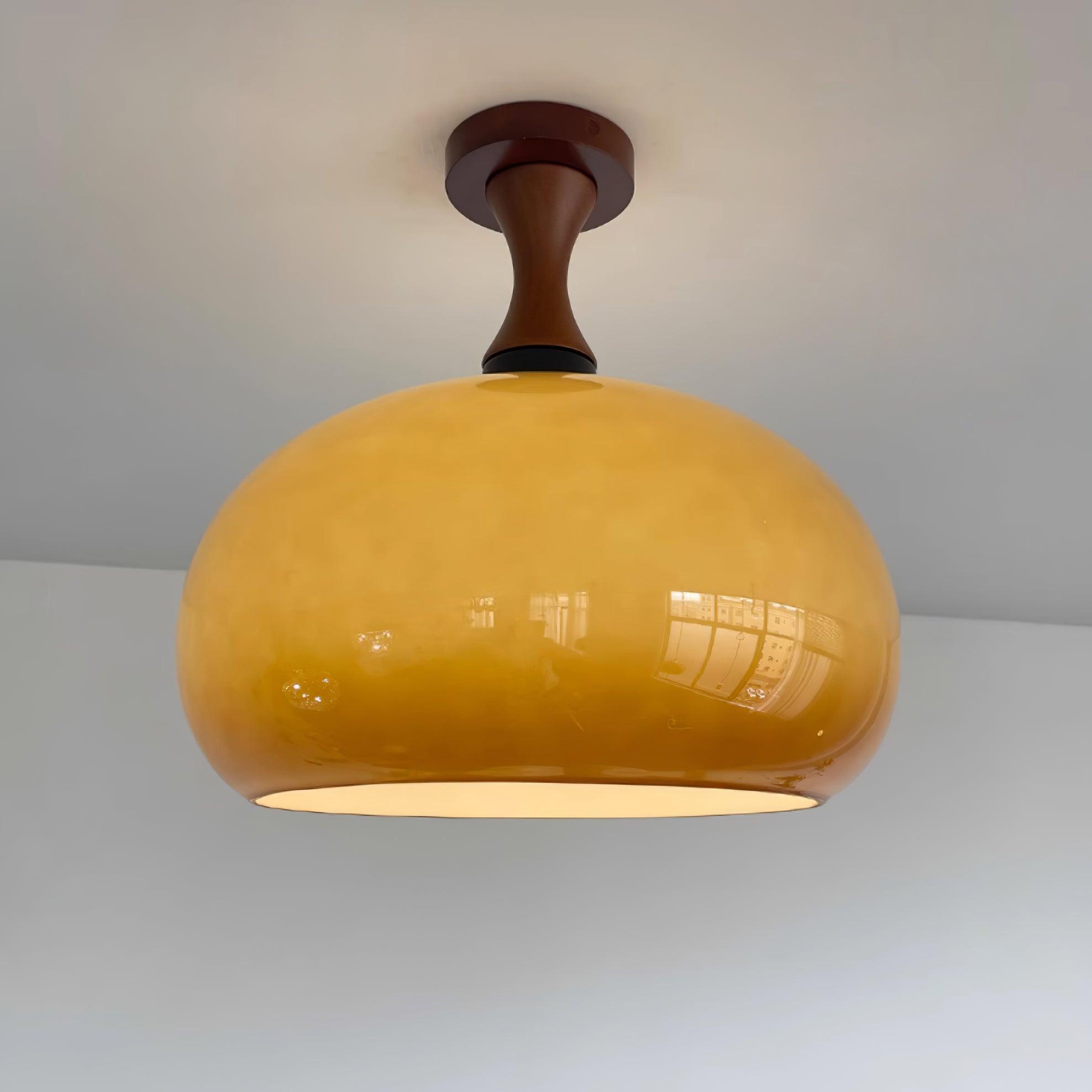 Nylcor Ceiling Light