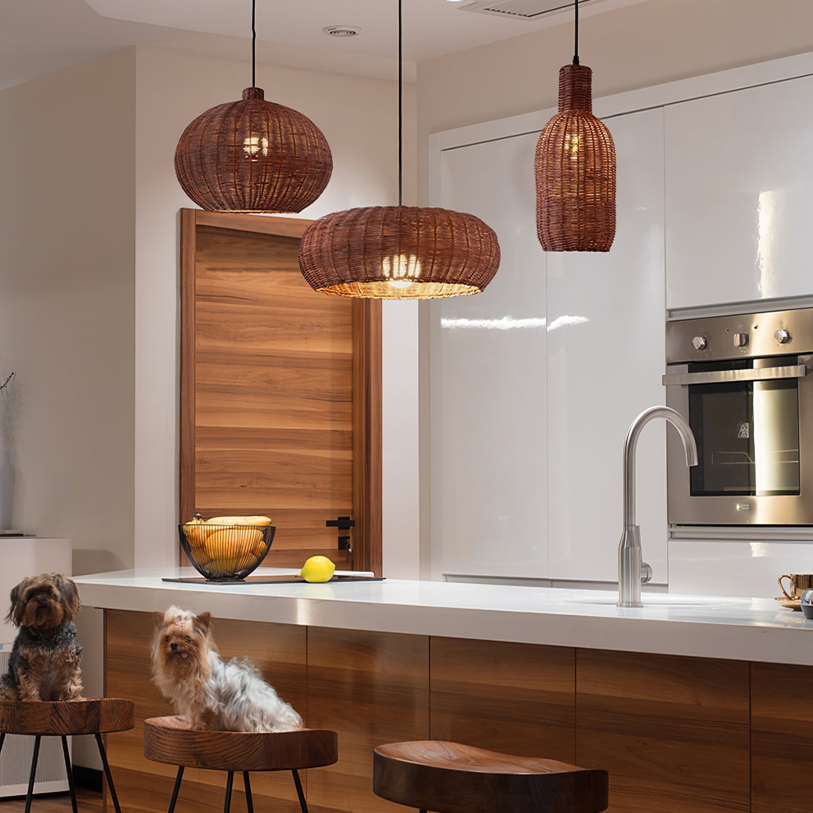 Meltrys Boho Pendant Light