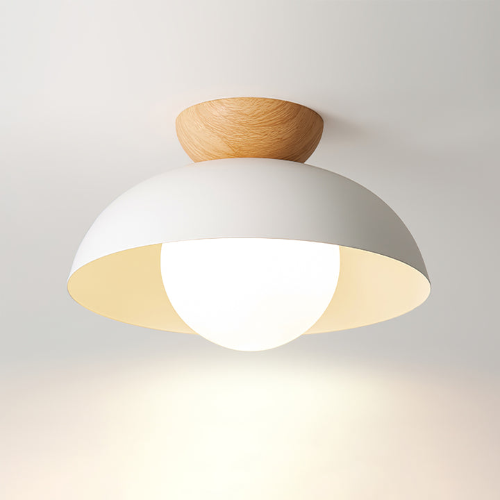 Meslamo Ceiling Light