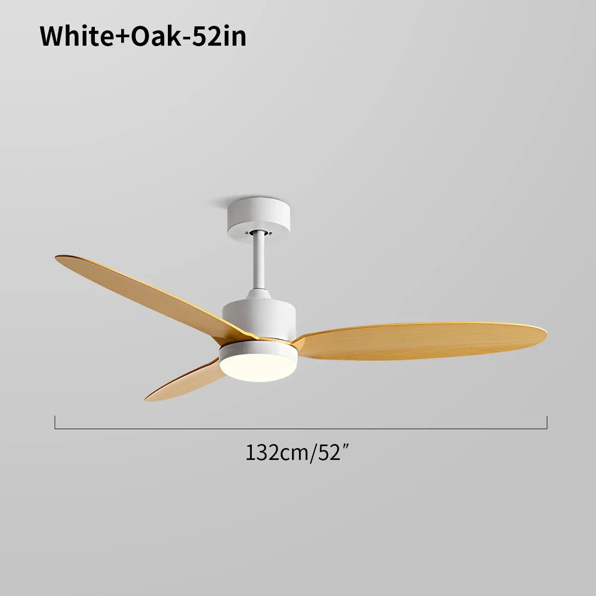 Marvento Ceiling Fan