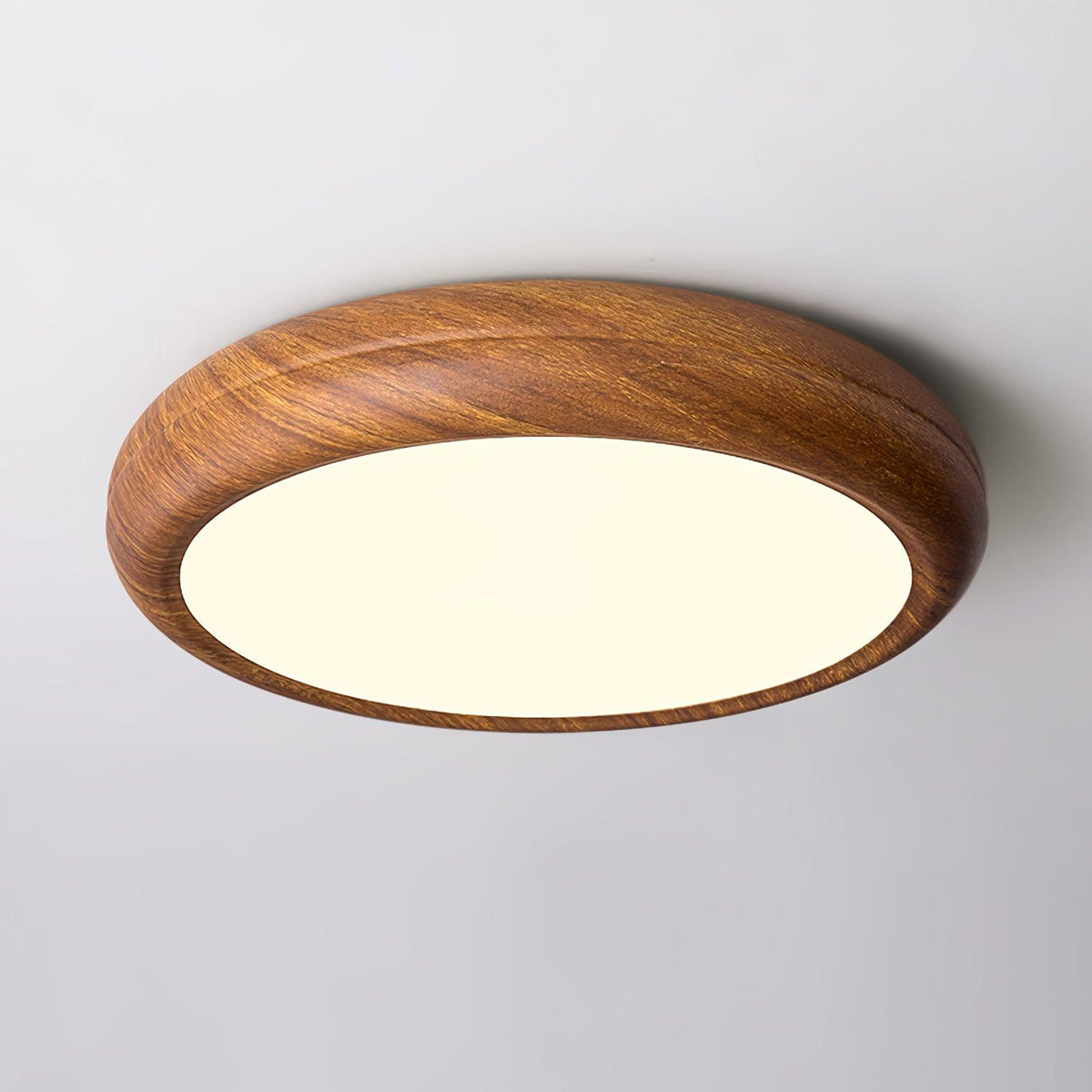 Napo Outdoor Ceiling Light