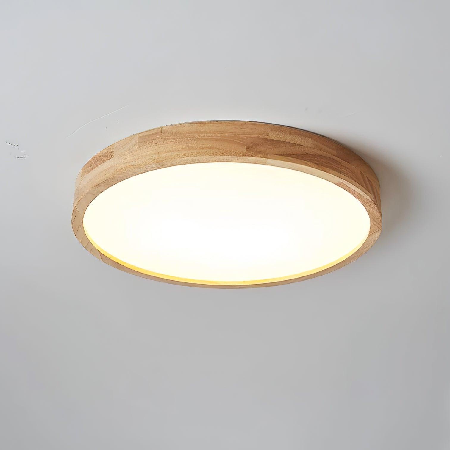 Weliva Ceiling Light