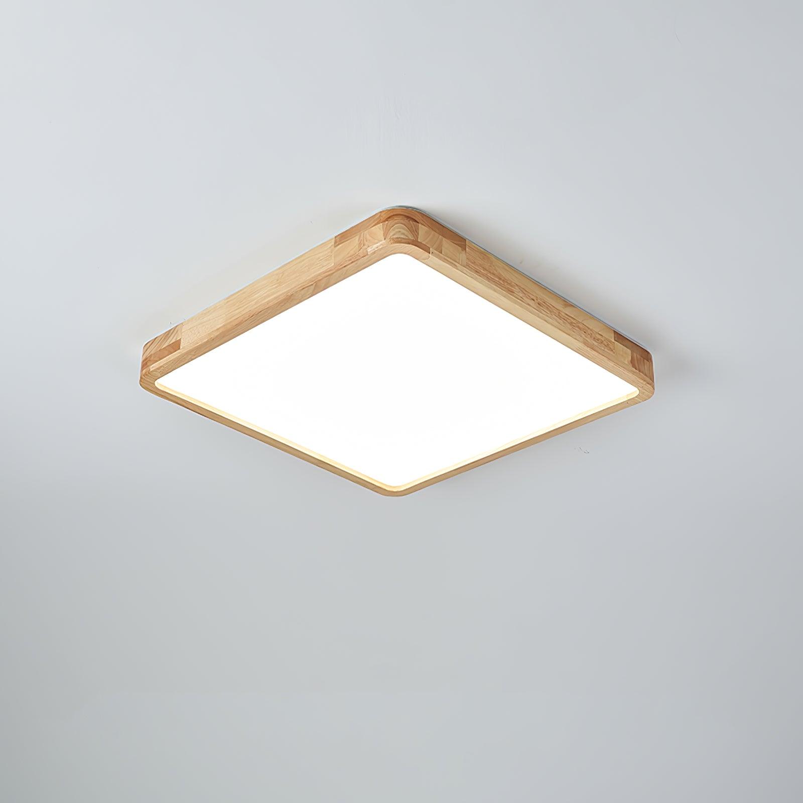 Weliva Ceiling Light