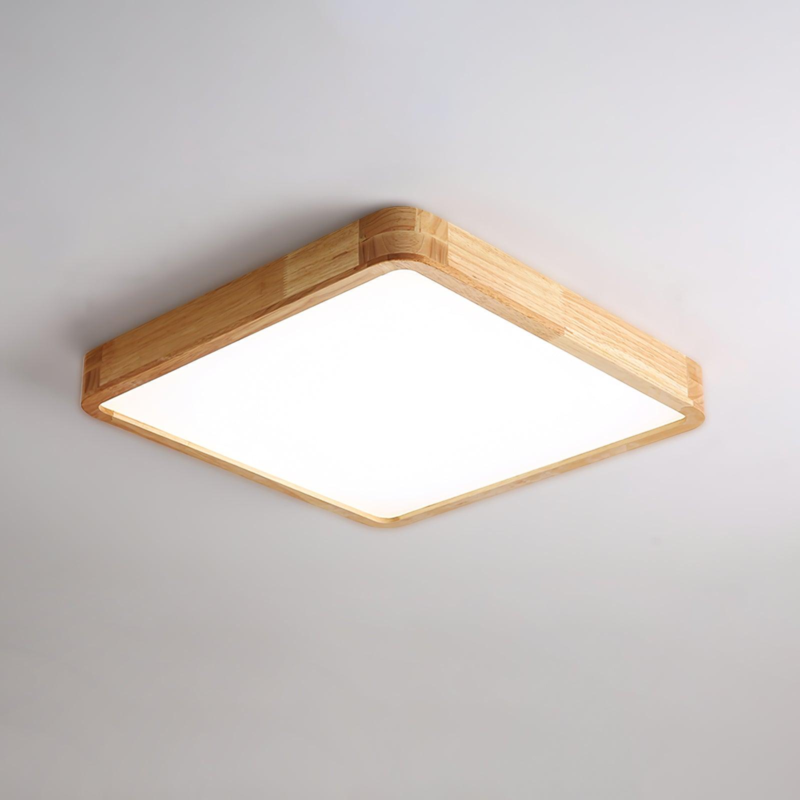 Weliva Ceiling Light
