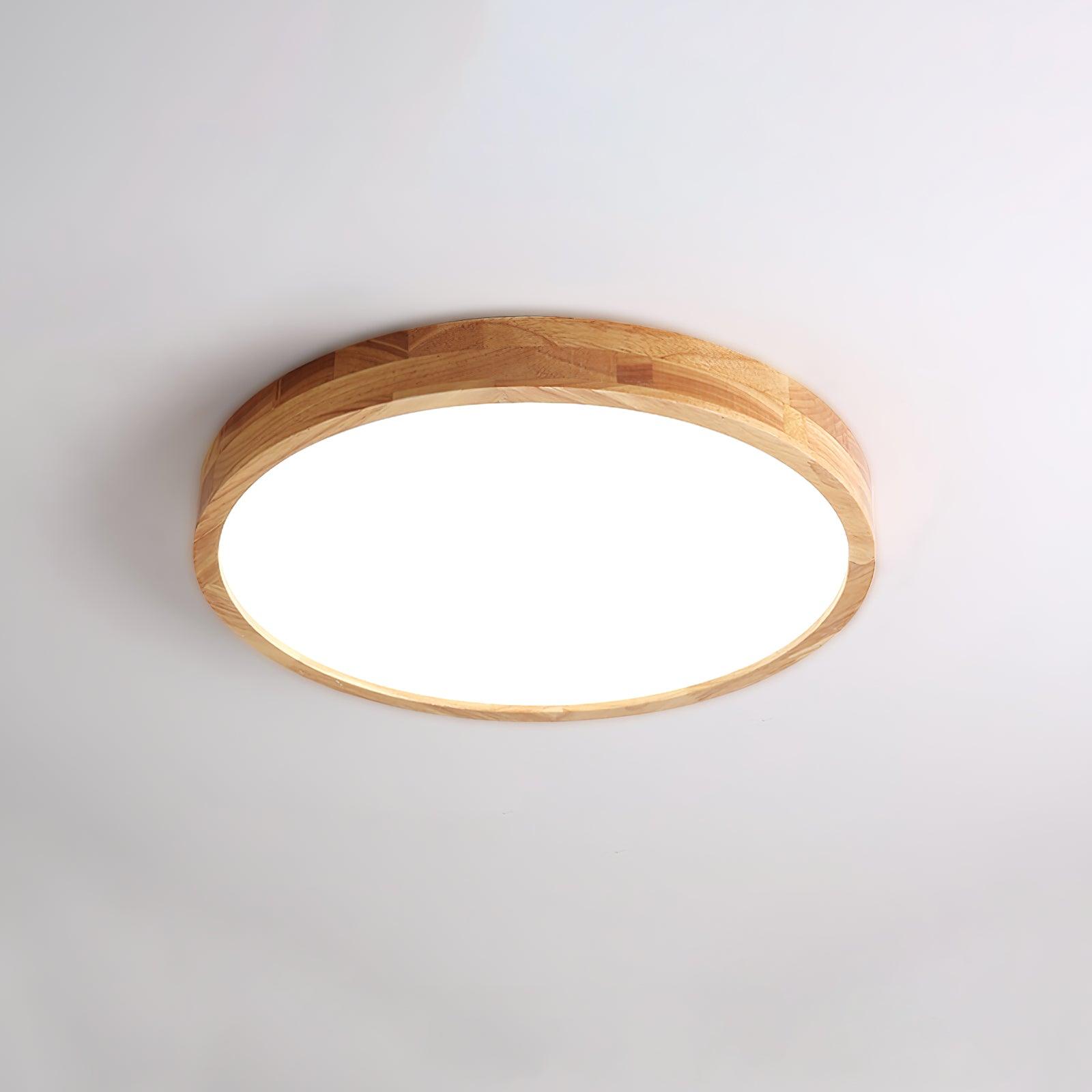 Weliva Ceiling Light