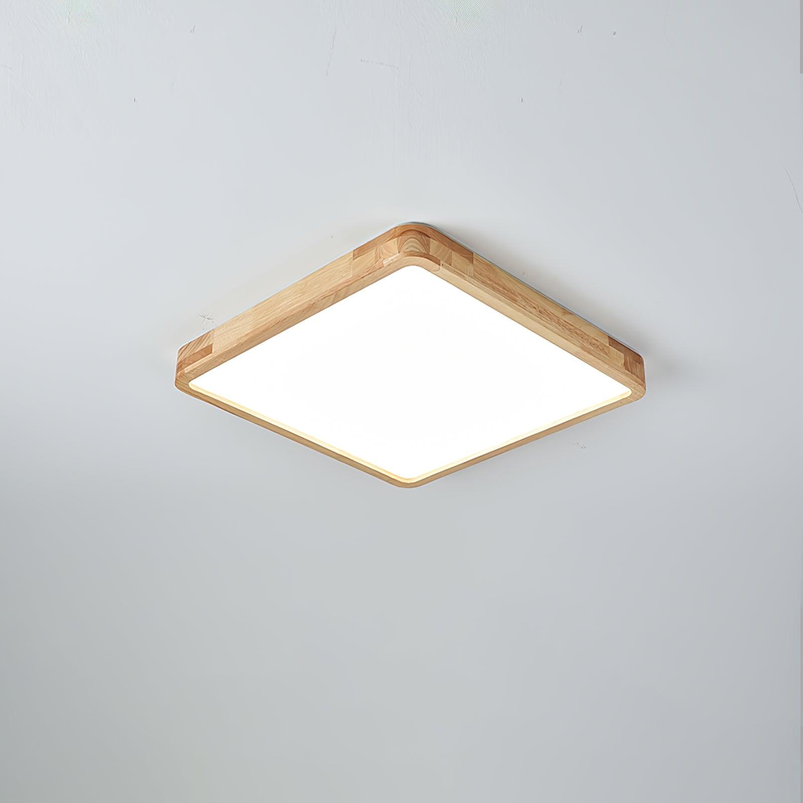 Weliva Ceiling Light