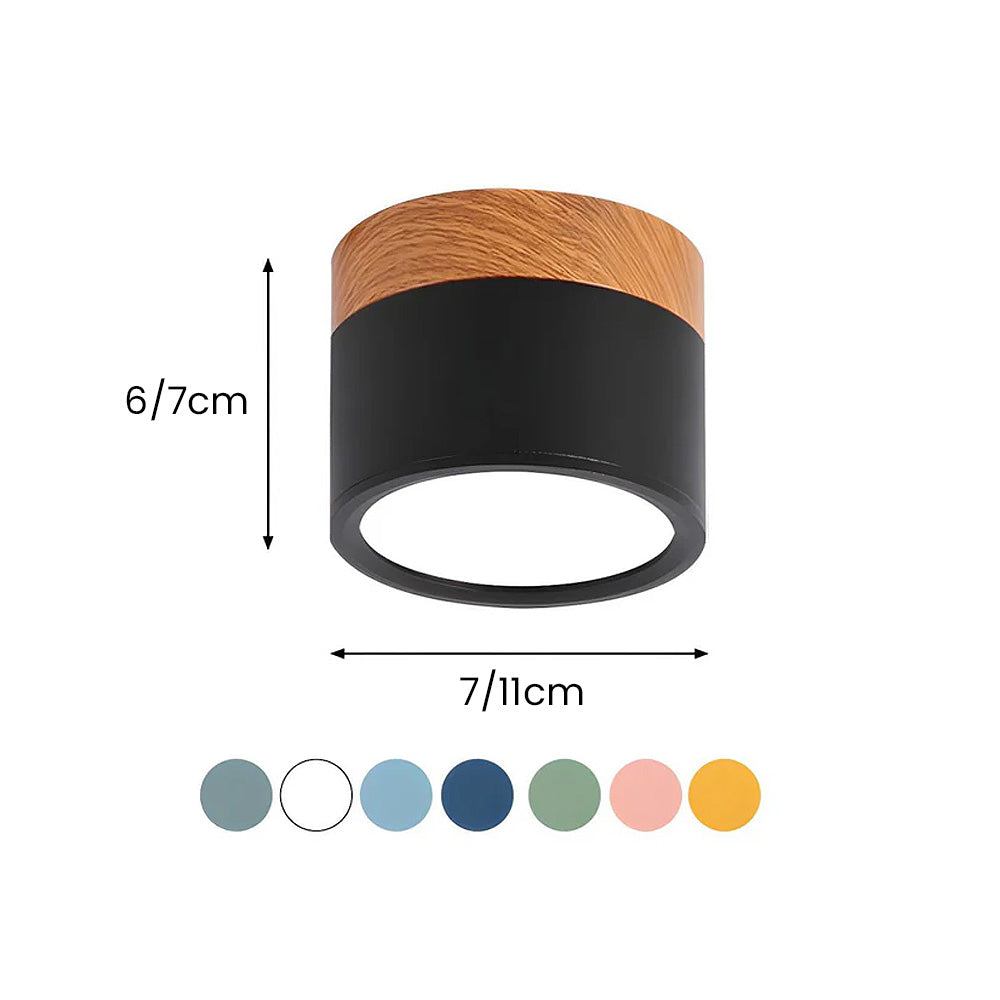 Cylinder Small Ceiling Light